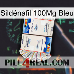 Sildénafil 100Mg Bleu kamagra1